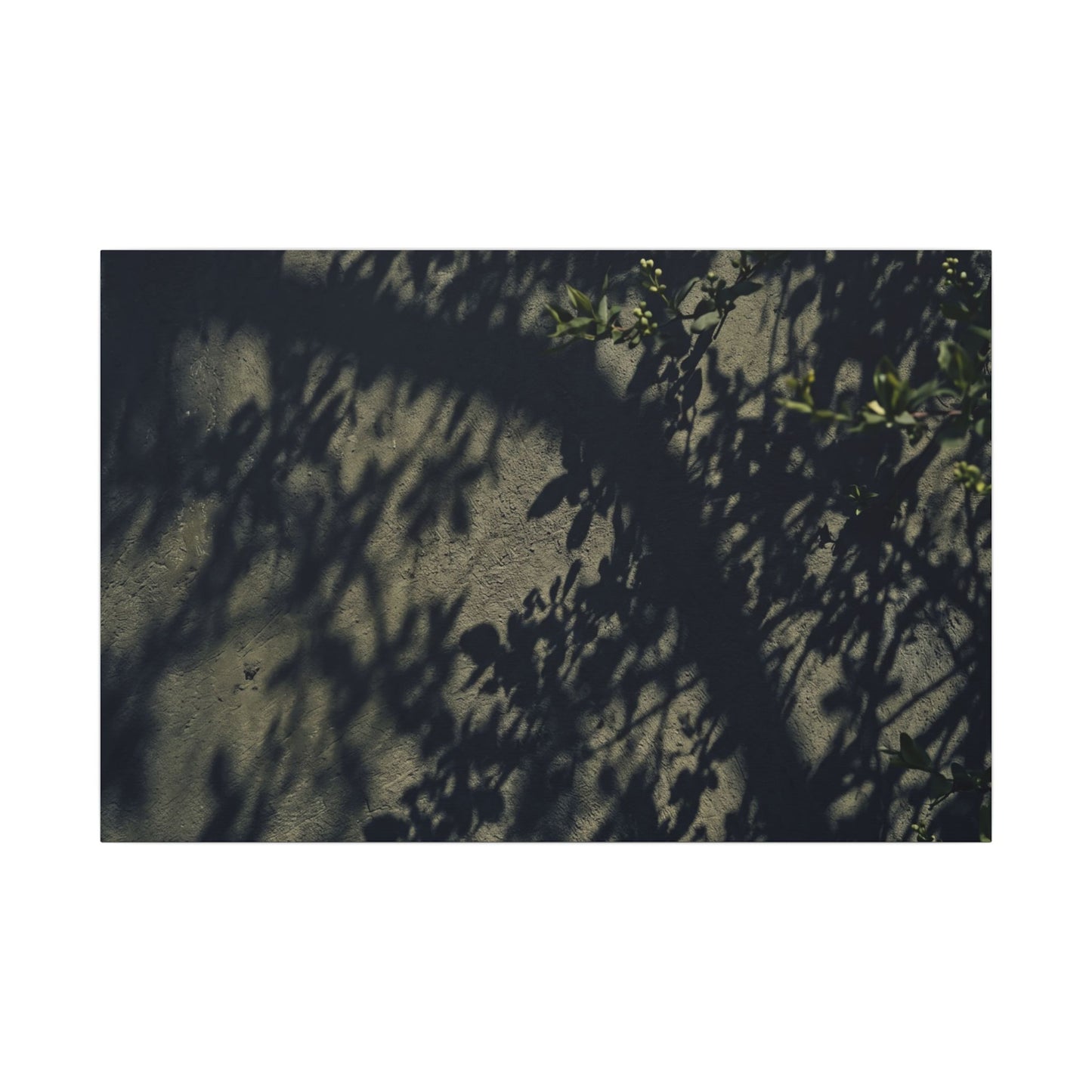 Atmospheric Shadow Play Canvas Art - Moody Minimal Dark Japandi