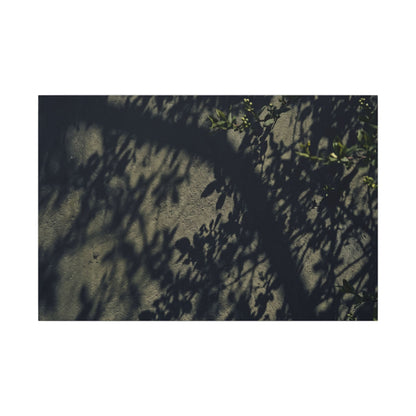Atmospheric Shadow Play Canvas Art - Moody Minimal Dark Japandi
