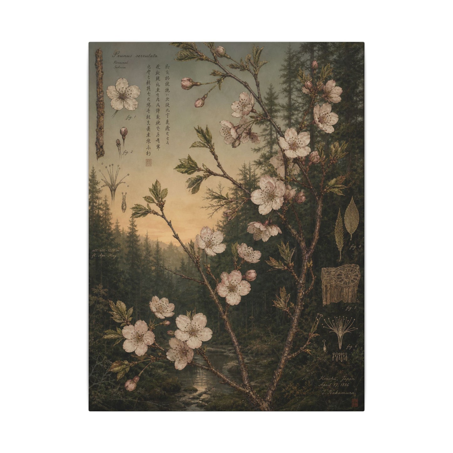 Spring Cherry Blossom Herbarium Canvas Art | Nostalgic Decor