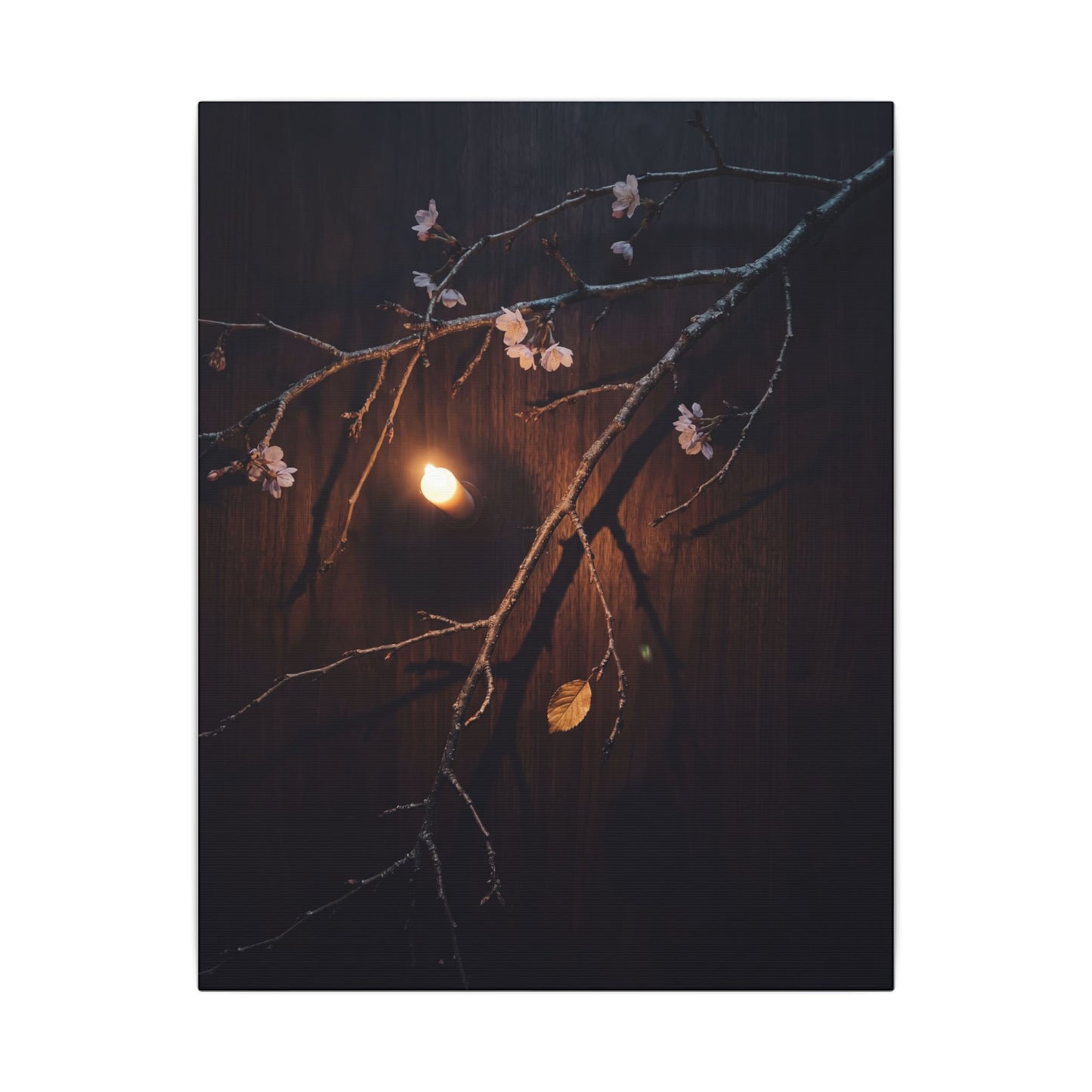 Datsuzoku Cherry Blossom Canvas Art - Dark Japandi Moody Minimal