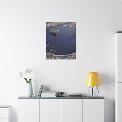 Lotus Flower Canvas Art | Winter Zen Karesansui Art