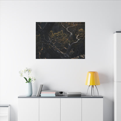 Moody Pine Tree Canvas Art - Moody Minimal Dark Japandi