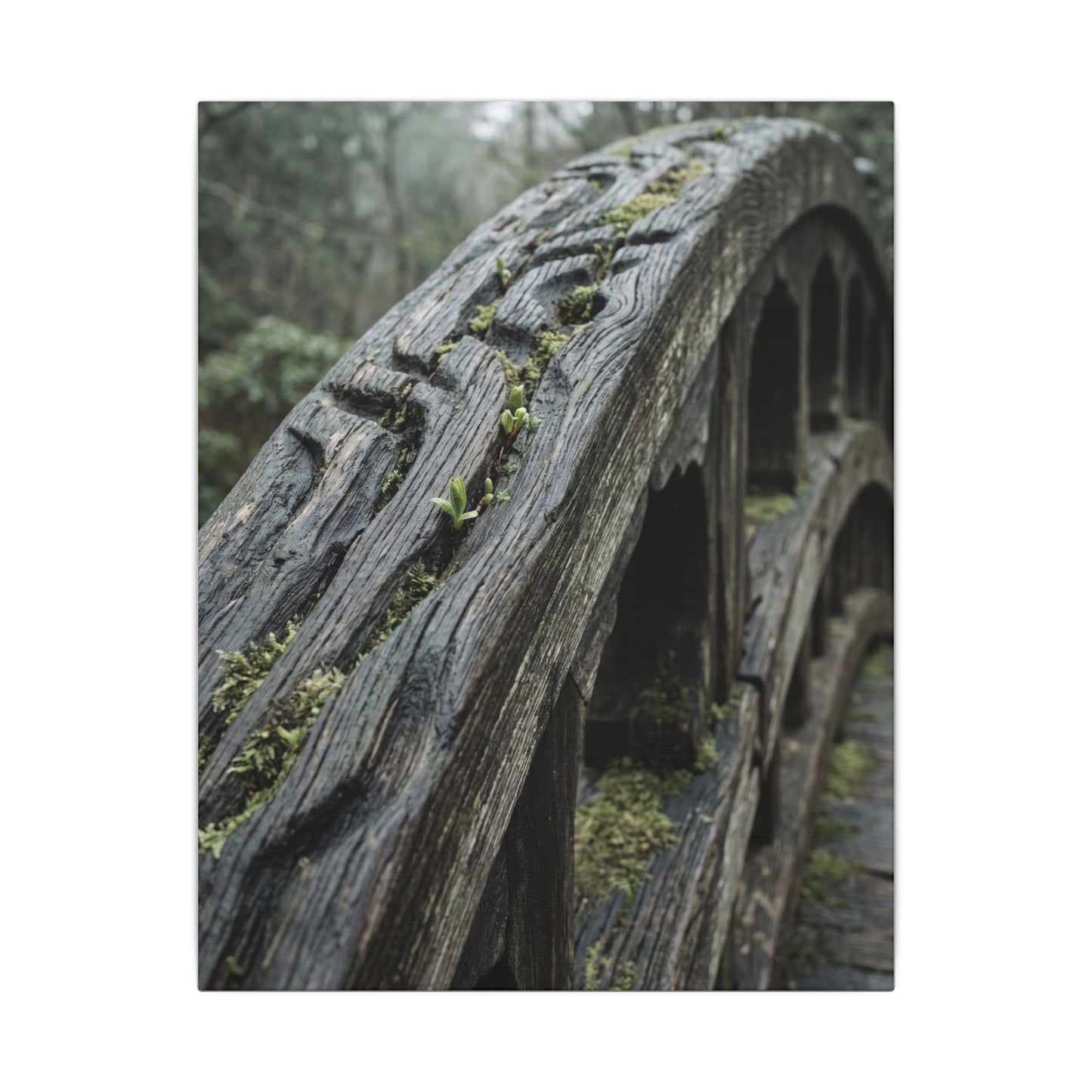 Overcast Wooden Bridge Canvas Art - Japandi Kanso