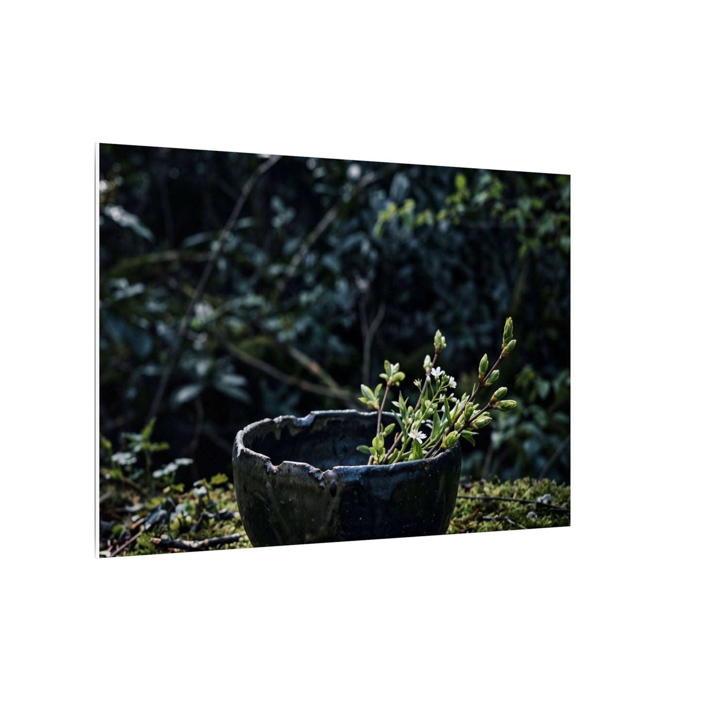 Dappled Ceramic Bowl Canvas Art - Dark Japandi Datsuzoku