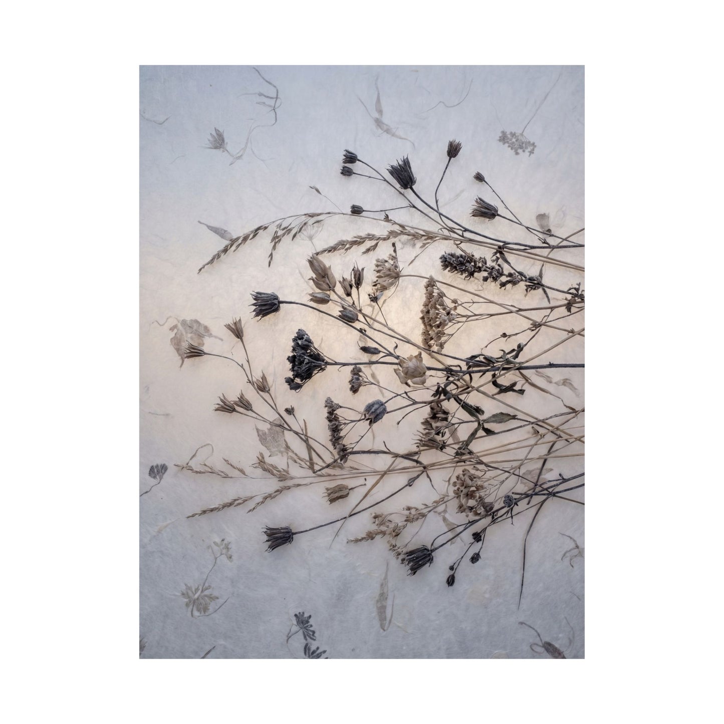 Winter Dried Flowers Japanese Pattern Wall Art Print | Warm Decor