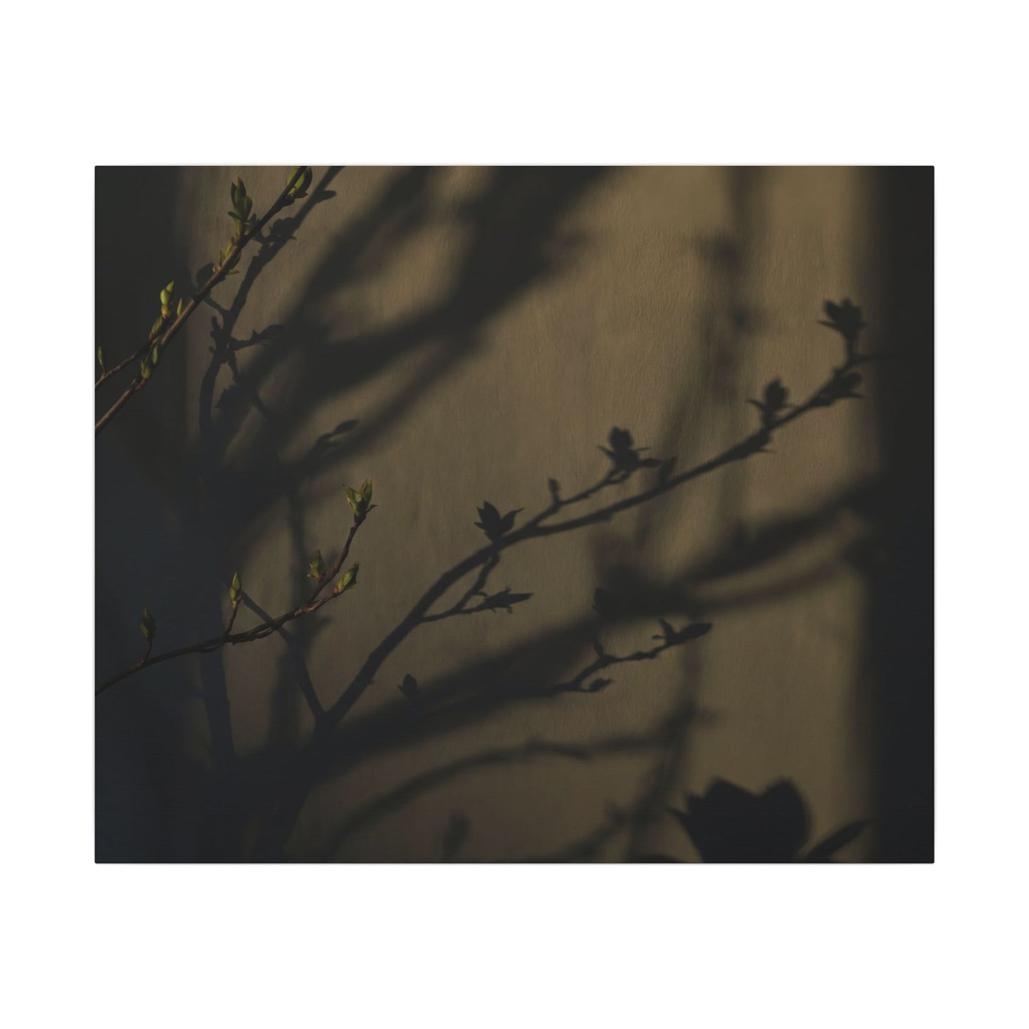 Seijaku Shadow Play Canvas Art - Dark Japandi Charcoal Ink