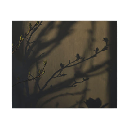 Seijaku Shadow Play Canvas Art - Dark Japandi Charcoal Ink