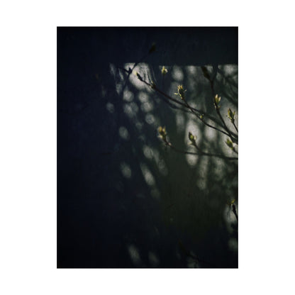 Shoji Screen Wall Art Print | Spring Dark Japandi Moody Minimal Art