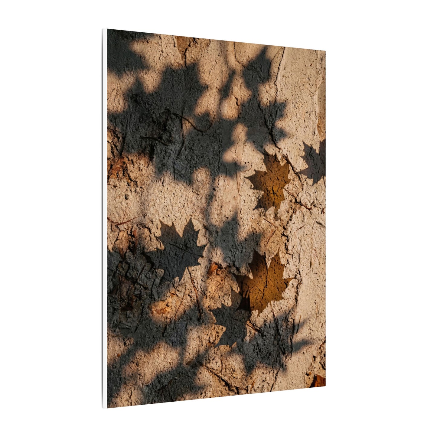 Cozy Shadow Play Canvas Art - Texture Japandi