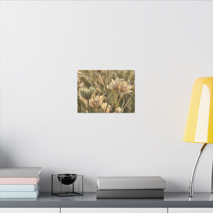Summer Dried Flowers Minimal Line Canvas Art | Cozy Decor