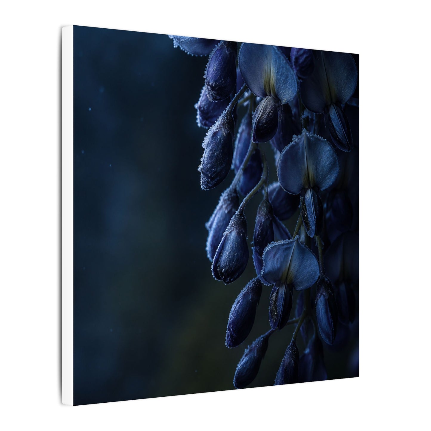 Winter Wisteria Shadow Zen Canvas Art | Atmospheric Decor
