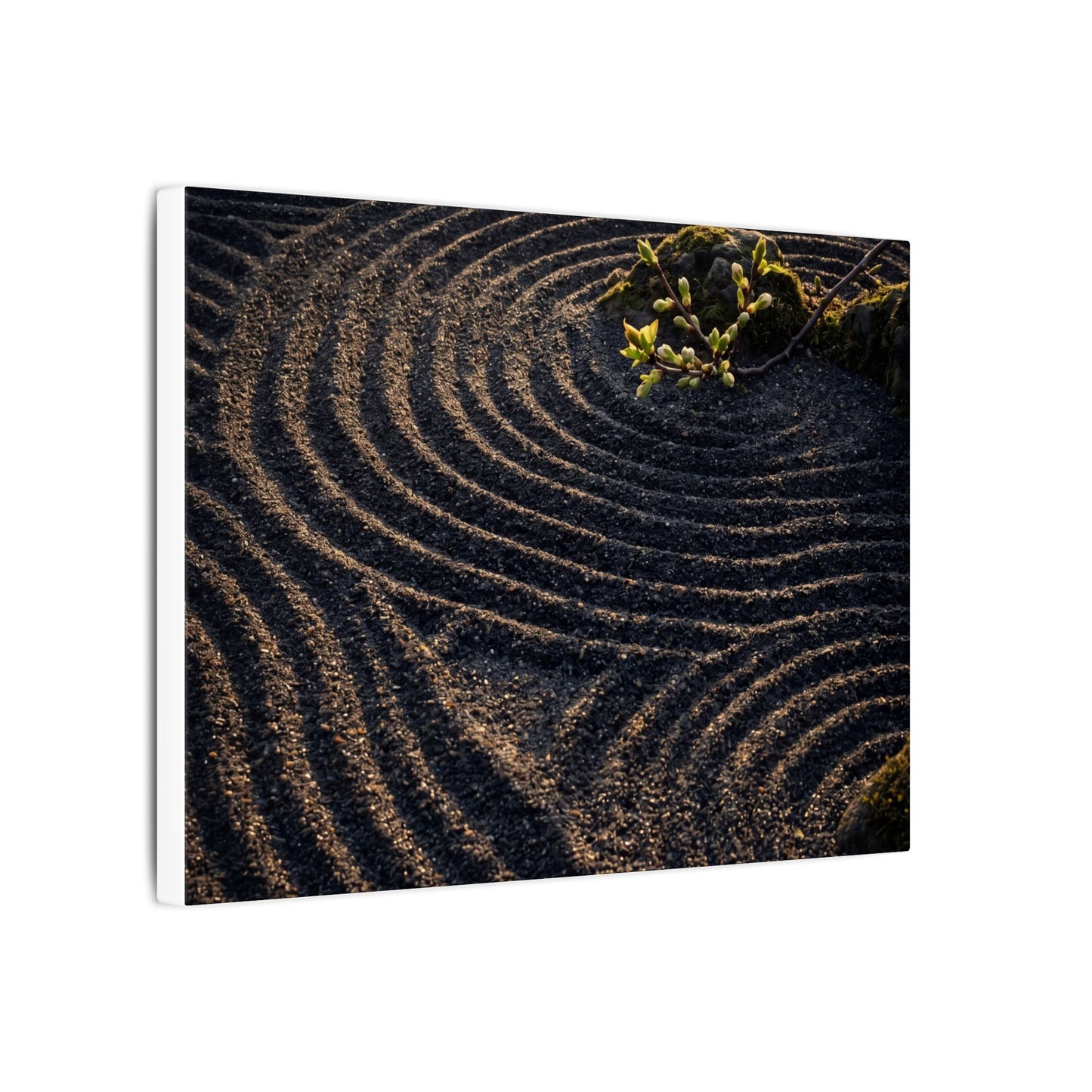 Spring Rock Garden Shadow Zen Canvas Art | Atmospheric Decor