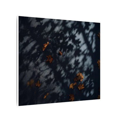 Autumn Shadow Play Shadow Zen Canvas Art | Atmospheric Decor