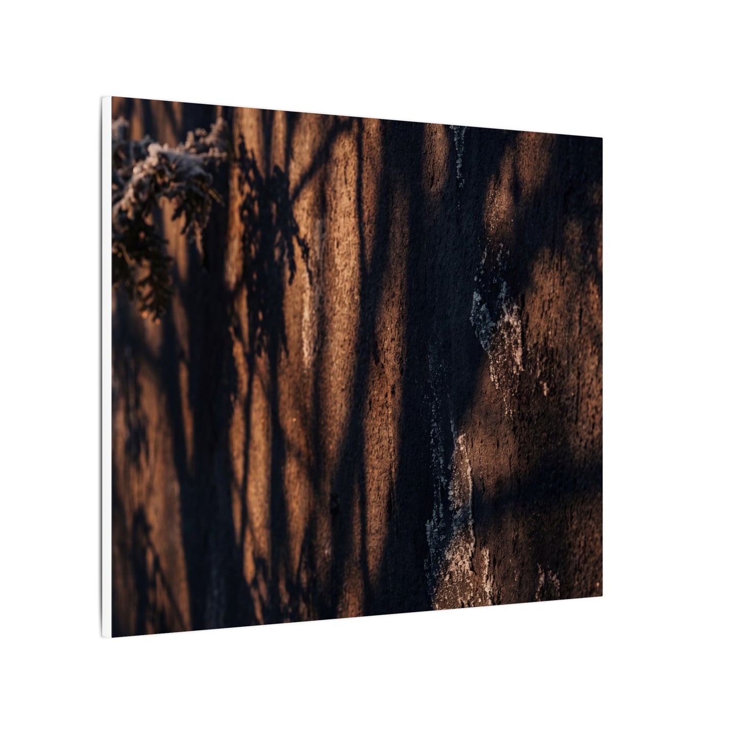 Golden Hour Shadow Play Canvas Art - Dark Japandi Fukinsei