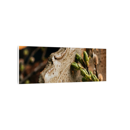 Overcast Ceramic Bowl Canvas Art - Japandi Ma