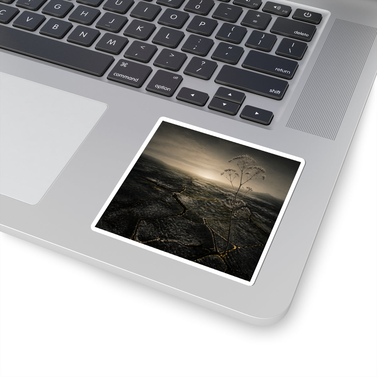Dawn Cracked Earth Sticker - Dark Japandi Mono No Aware