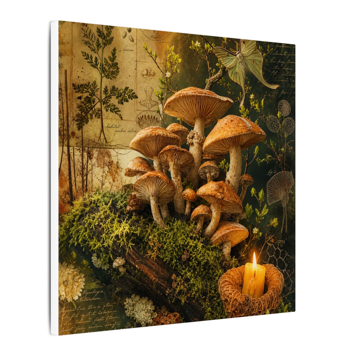 Spring Wild Mushrooms Herbarium Canvas Art | Earthy Decor