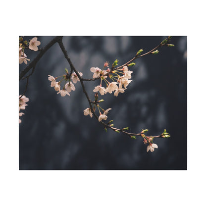Cherry Blossom Moody Minimal Canvas Art | Bold Dark Japandi Art