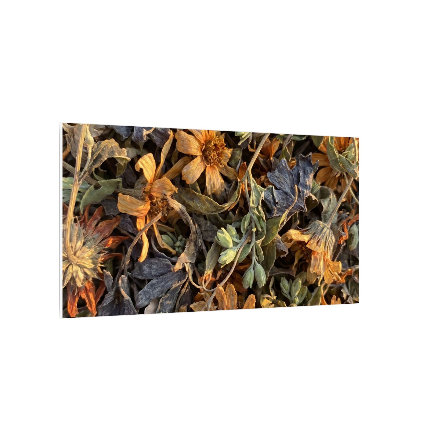 Spring Dried Flowers Japanese Pattern Canvas Art | Warm Decor