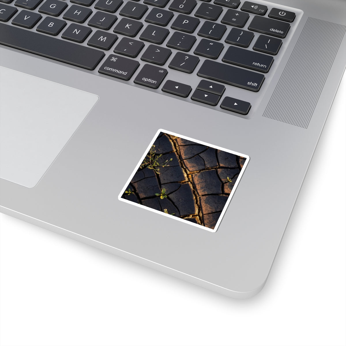Spring Cracked Earth Gold Vein Sticker | Beautiful Decor