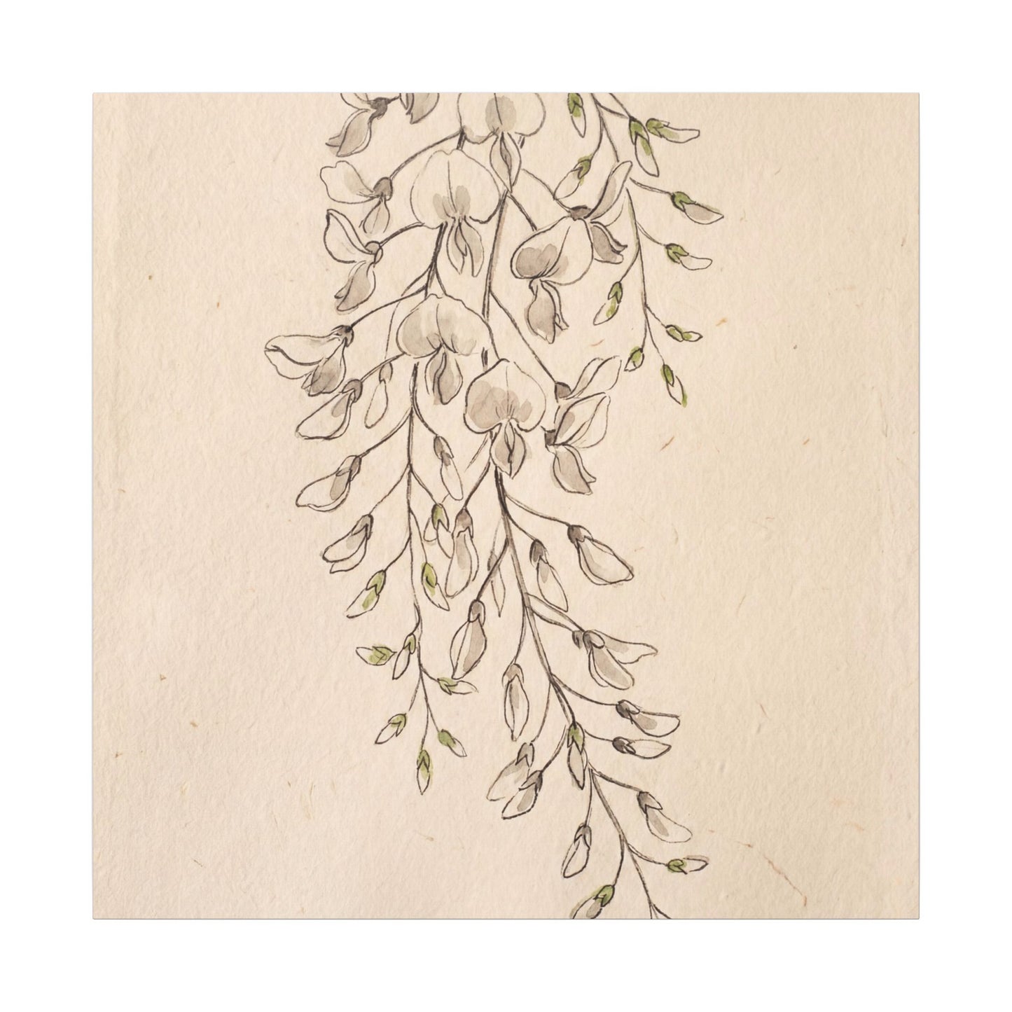 Japandi Wisteria in Golden Hour | Minimal Line Canvas Art