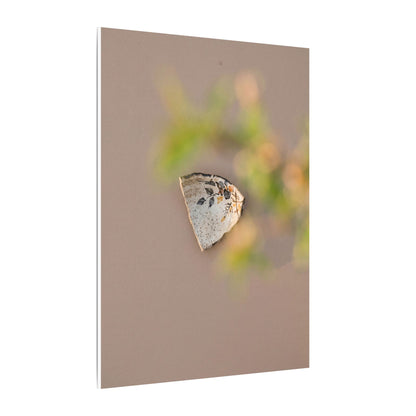 Ceramic Bowl Canvas Art | Spring Japandi Japanese Pattern Art