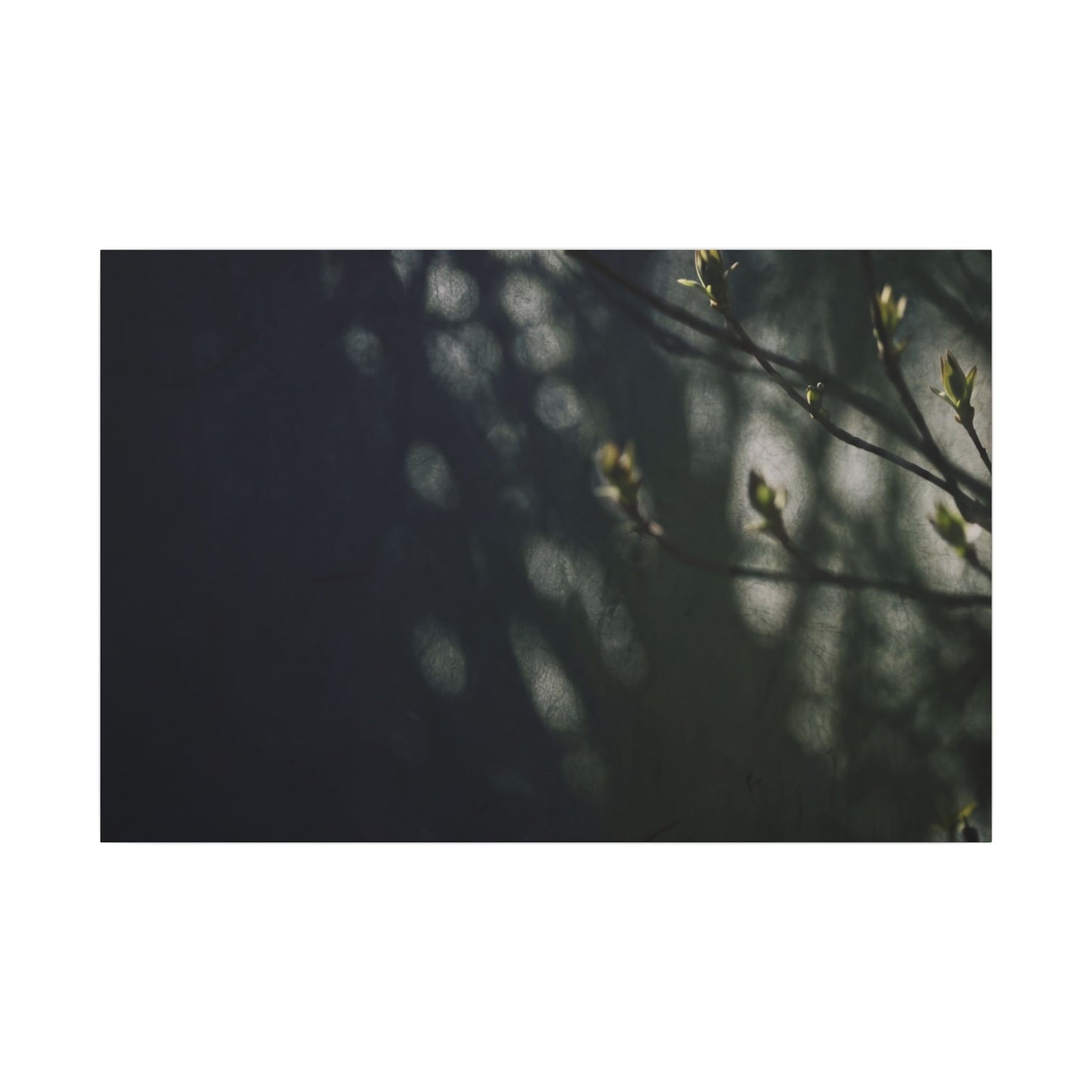 Dark Japandi Shoji Screen in Dappled | Moody Minimal Canvas Art Art Print