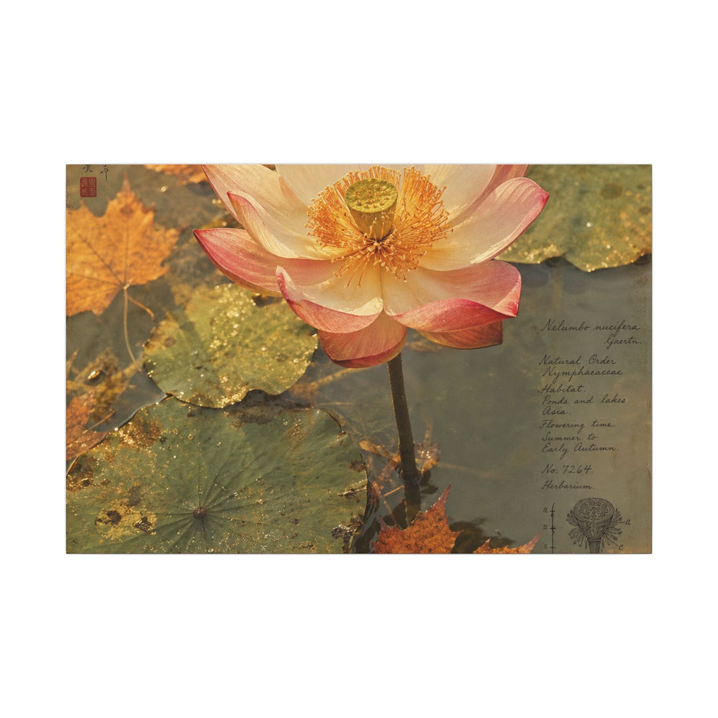 Autumn Lotus Flower Herbarium Canvas Art | Rustic Decor