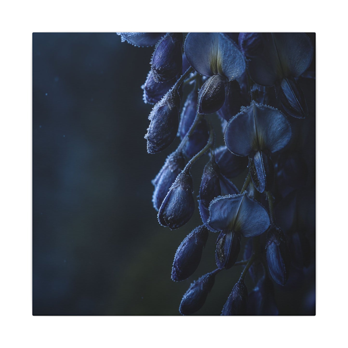 Winter Wisteria Shadow Zen Canvas Art | Atmospheric Decor