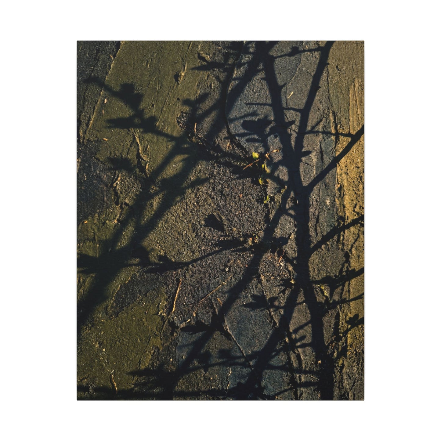 Kanso Shadow Play Canvas Art - Dark Japandi Dark Texture