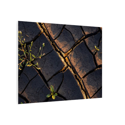 Kintsugi Cracked Earth in Golden Hour | Gold Vein Canvas Art