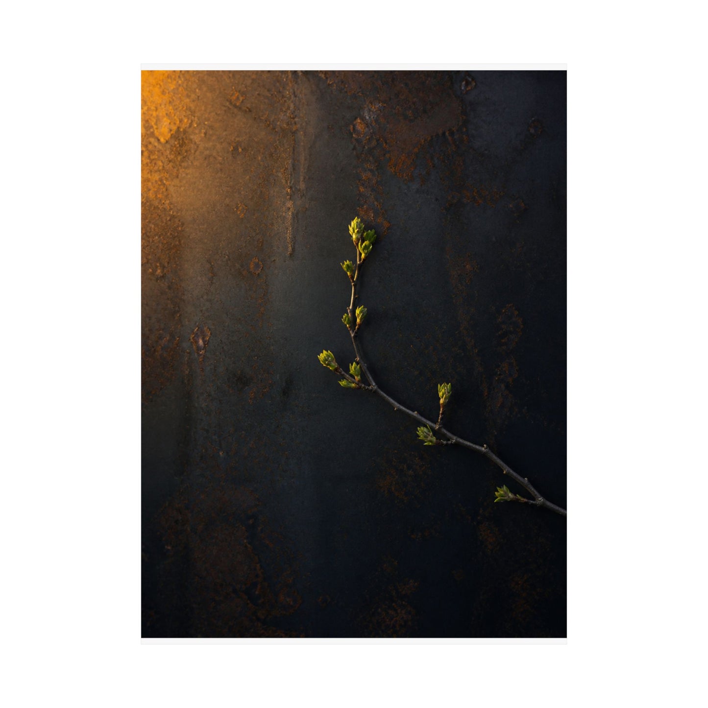 Bold Rust Patina Wall Art Print - Moody Minimal Dark Japandi