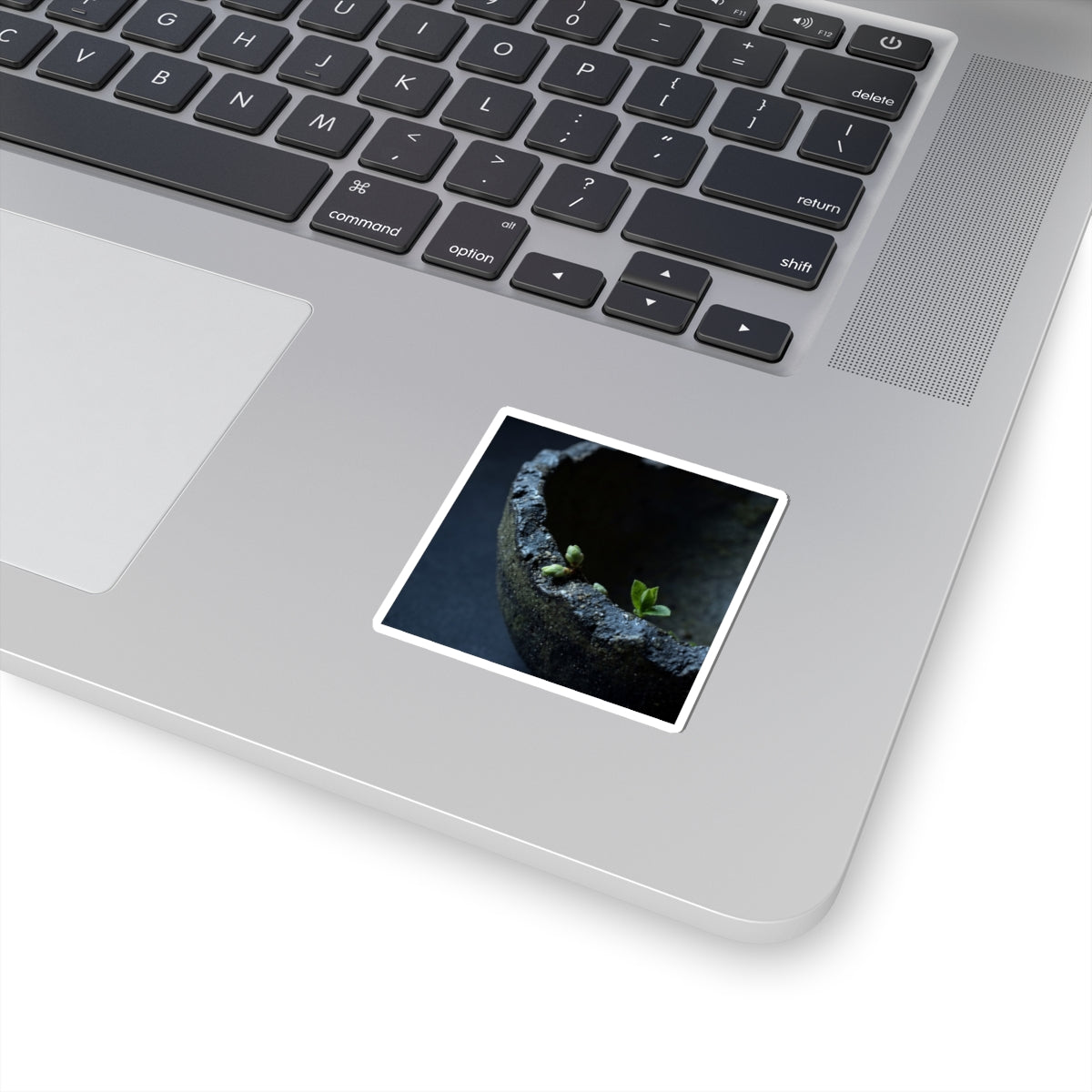 Ceramic Bowl Sticker | Spring Dark Japandi Moody Minimal Art