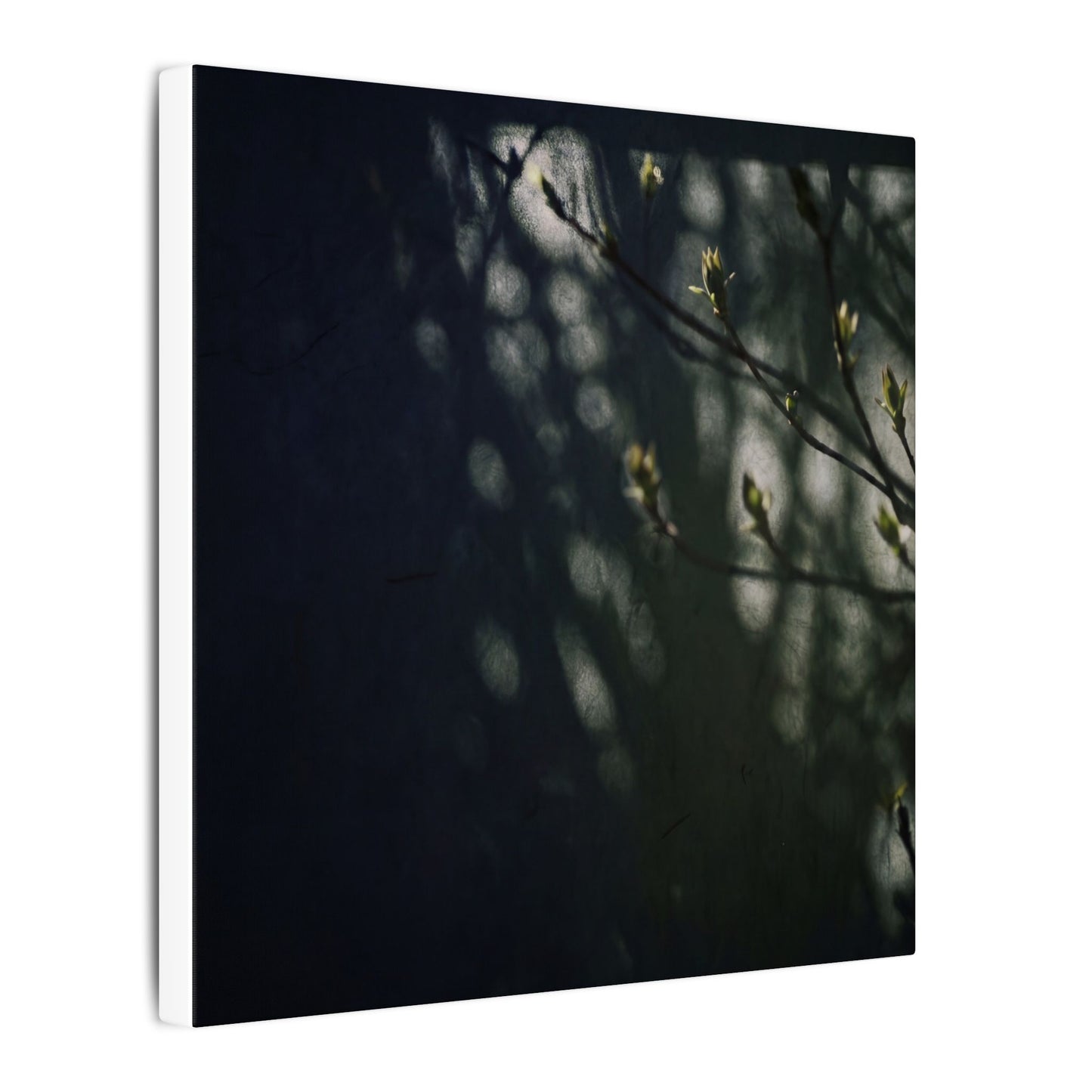Dark Japandi Shoji Screen in Dappled | Moody Minimal Canvas Art