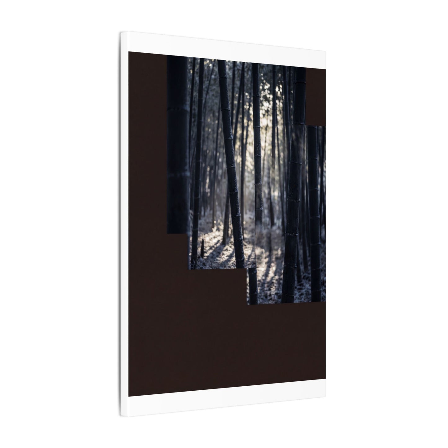 Bamboo Grove Canvas Art | Winter Dark Japandi Moody Minimal Art