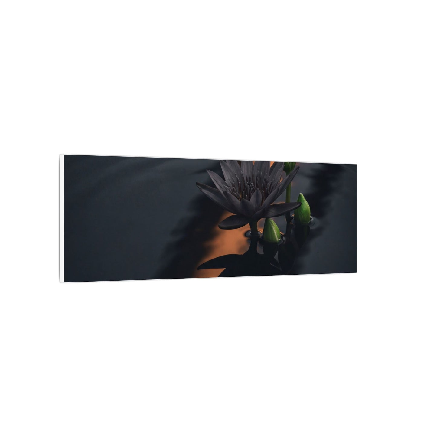 Seijaku Lotus Flower Canvas Art - Dark Japandi Shadow Zen