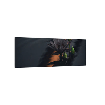 Seijaku Lotus Flower Canvas Art - Dark Japandi Shadow Zen