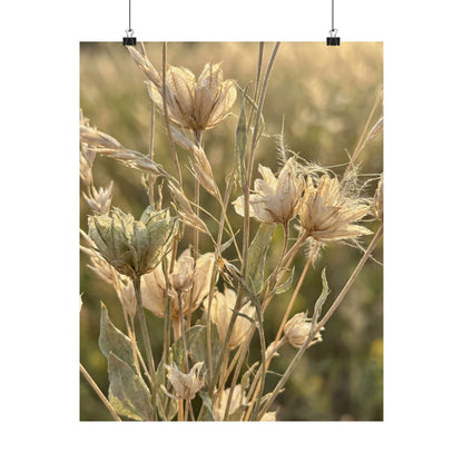 Cozy Dried Flowers Wall Art Print - Minimal Line Japandi Art Print