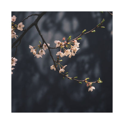 Cherry Blossom Moody Minimal Canvas Art | Bold Dark Japandi Art