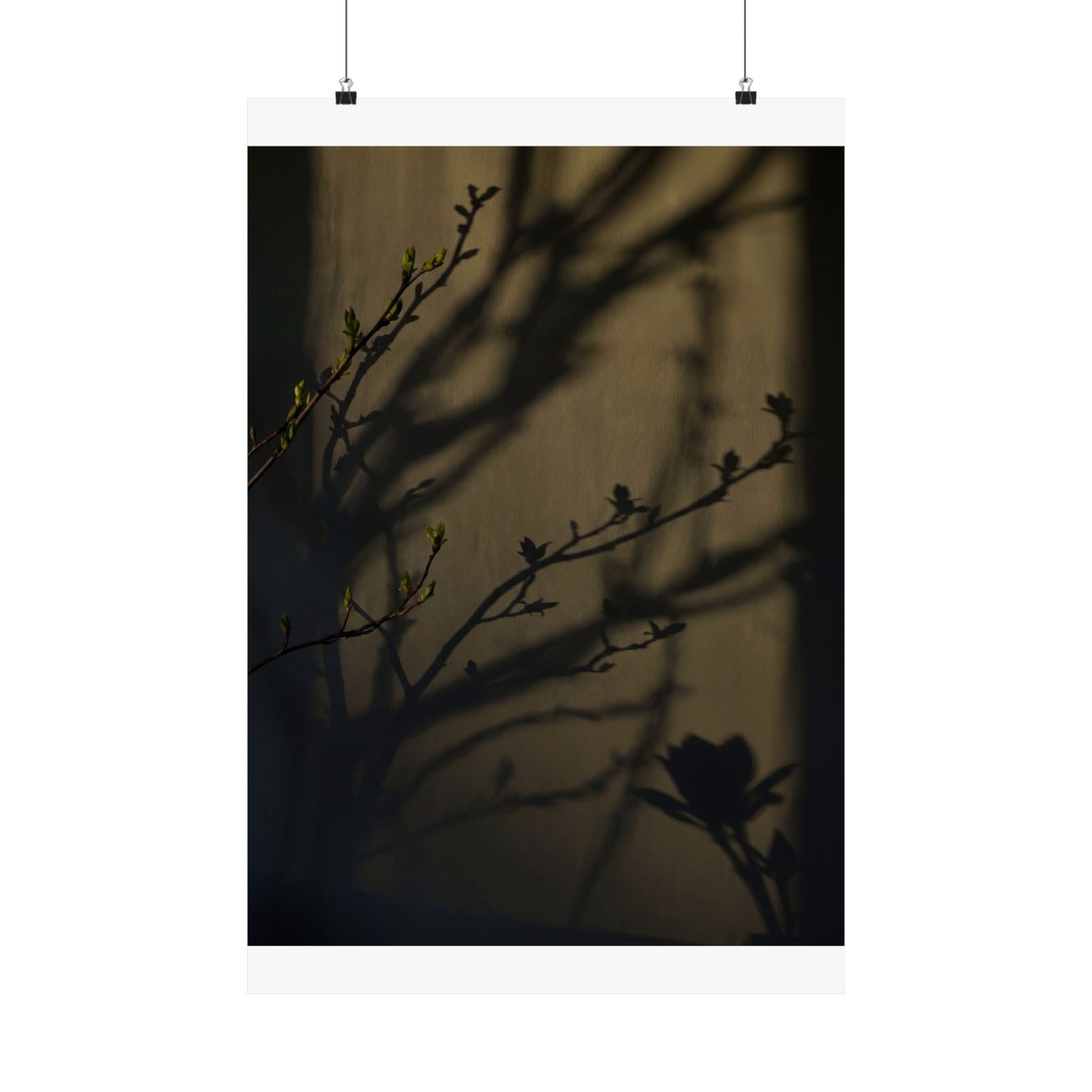 Spring Shadow Play Charcoal Ink Wall Art Print | Moody Decor