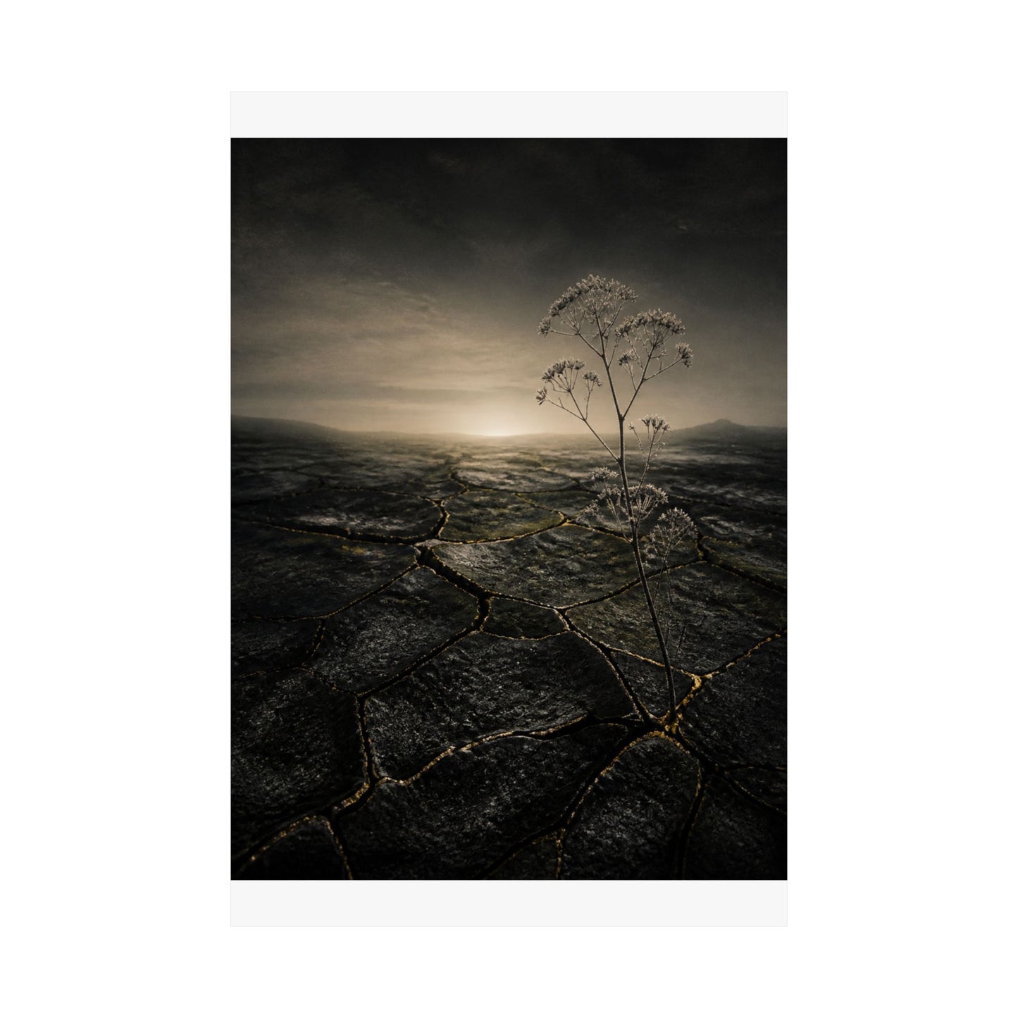 Dawn Cracked Earth Wall Art Print - Dark Japandi Mono No Aware