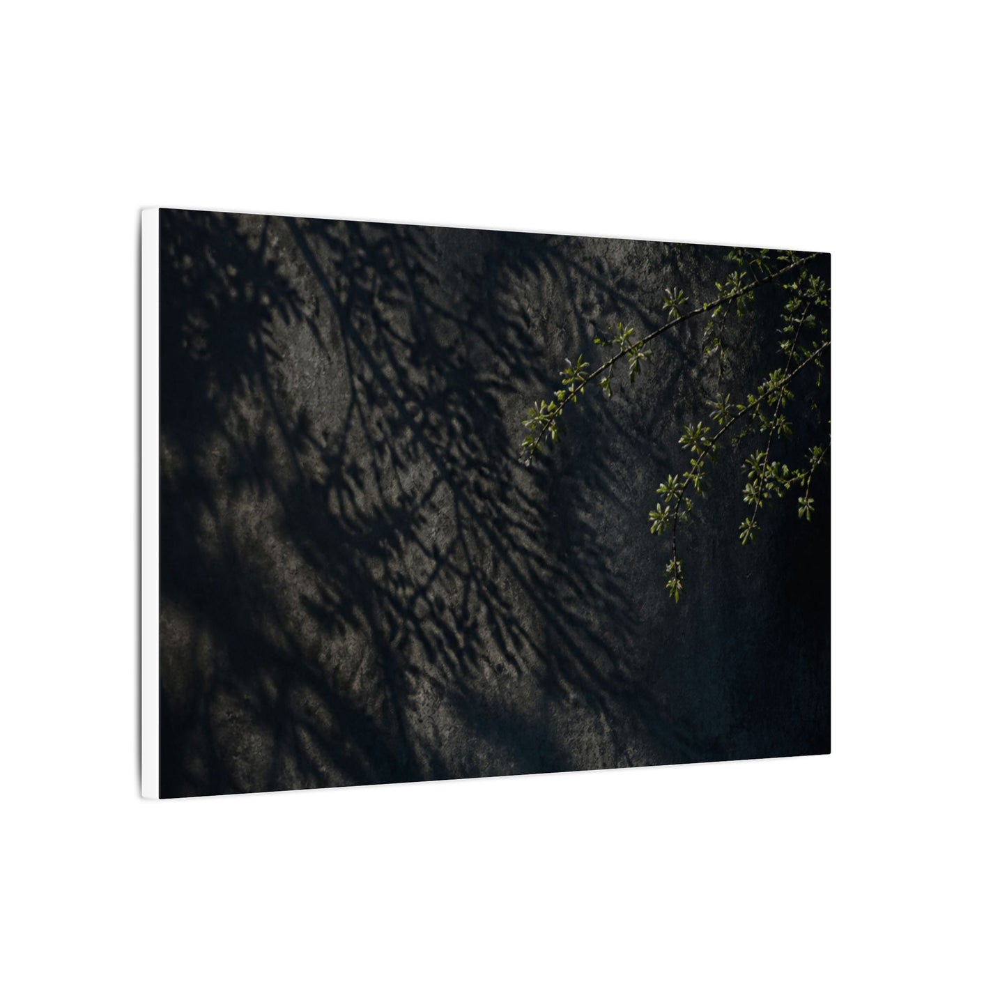 Overcast Shadow Play Canvas Art - Dark Japandi Seijaku