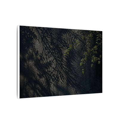 Overcast Shadow Play Canvas Art - Dark Japandi Seijaku