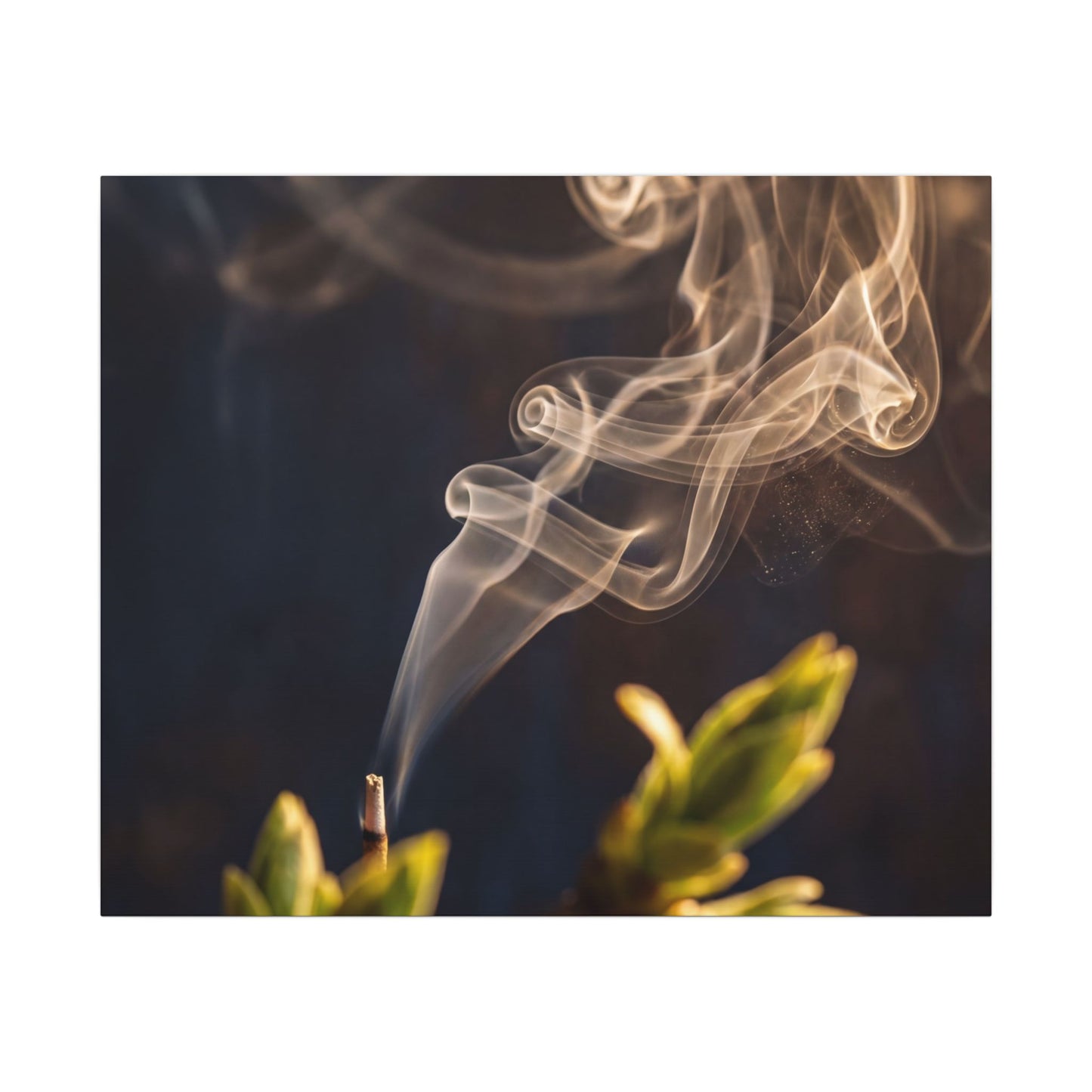 Incense Smoke Spring Canvas Art | Dark Japandi Atmospheric Design