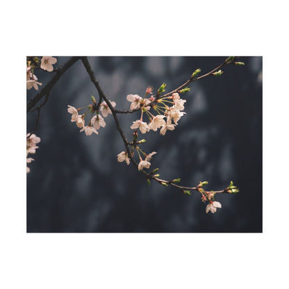 Cherry Blossom Moody Minimal Canvas Art | Bold Dark Japandi Art