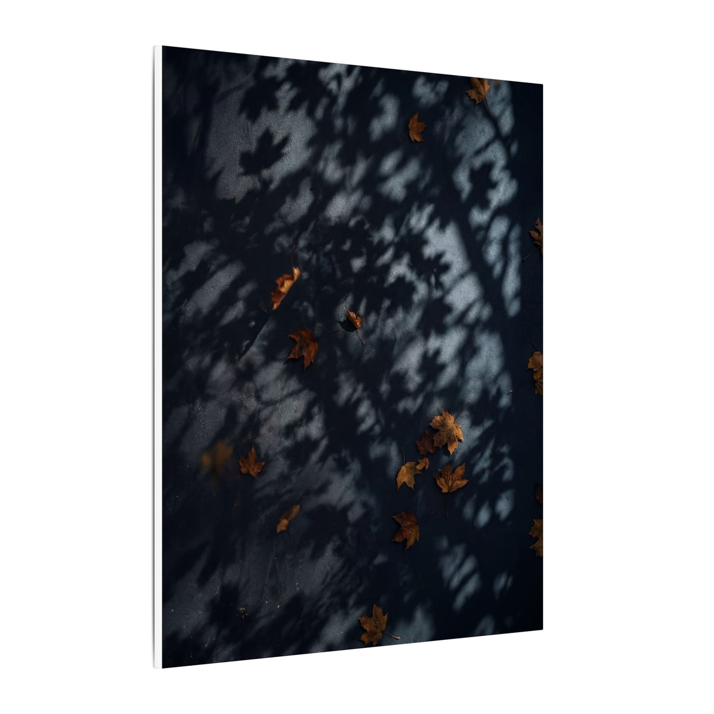 Autumn Shadow Play Shadow Zen Canvas Art | Atmospheric Decor