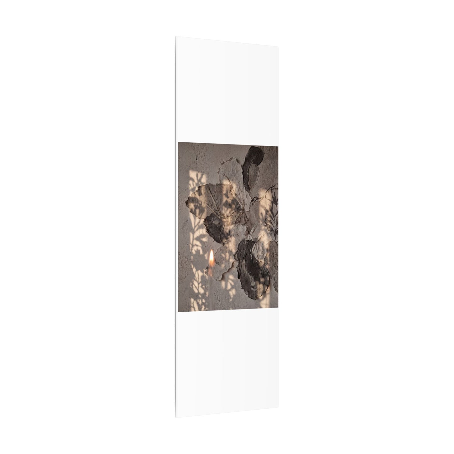 Shadow Play Summer Canvas Art | Japandi Elegant Design