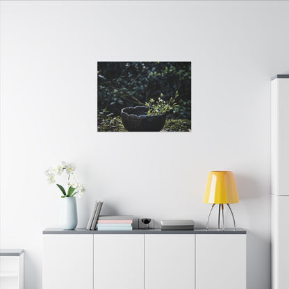 Dappled Ceramic Bowl Canvas Art - Dark Japandi Datsuzoku