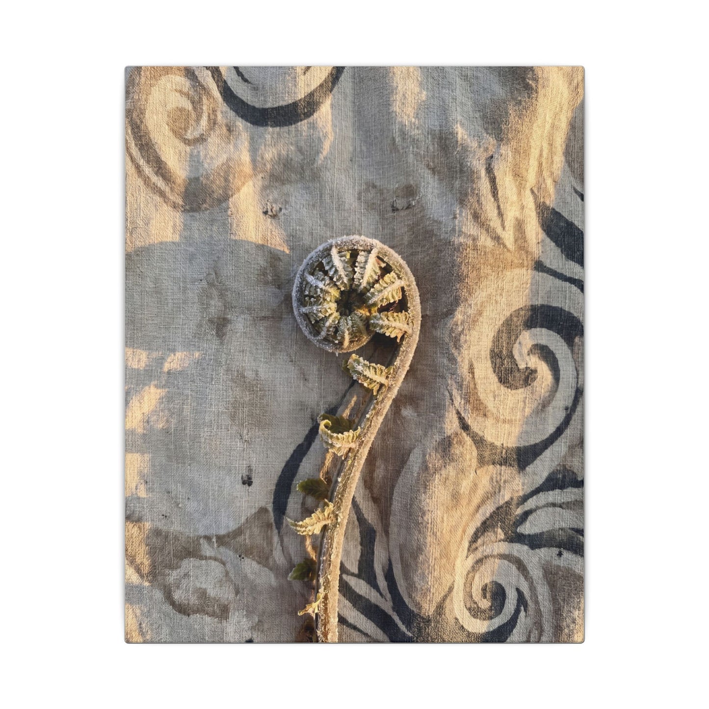 Fern Unfurling Canvas Art | Winter Japandi Japanese Pattern Art