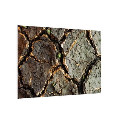 Earthy Cracked Earth Canvas Art - Japanese Pattern Japandi